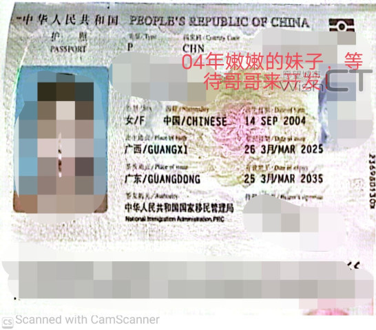 【R&F】中国自 R&F富力公主湾